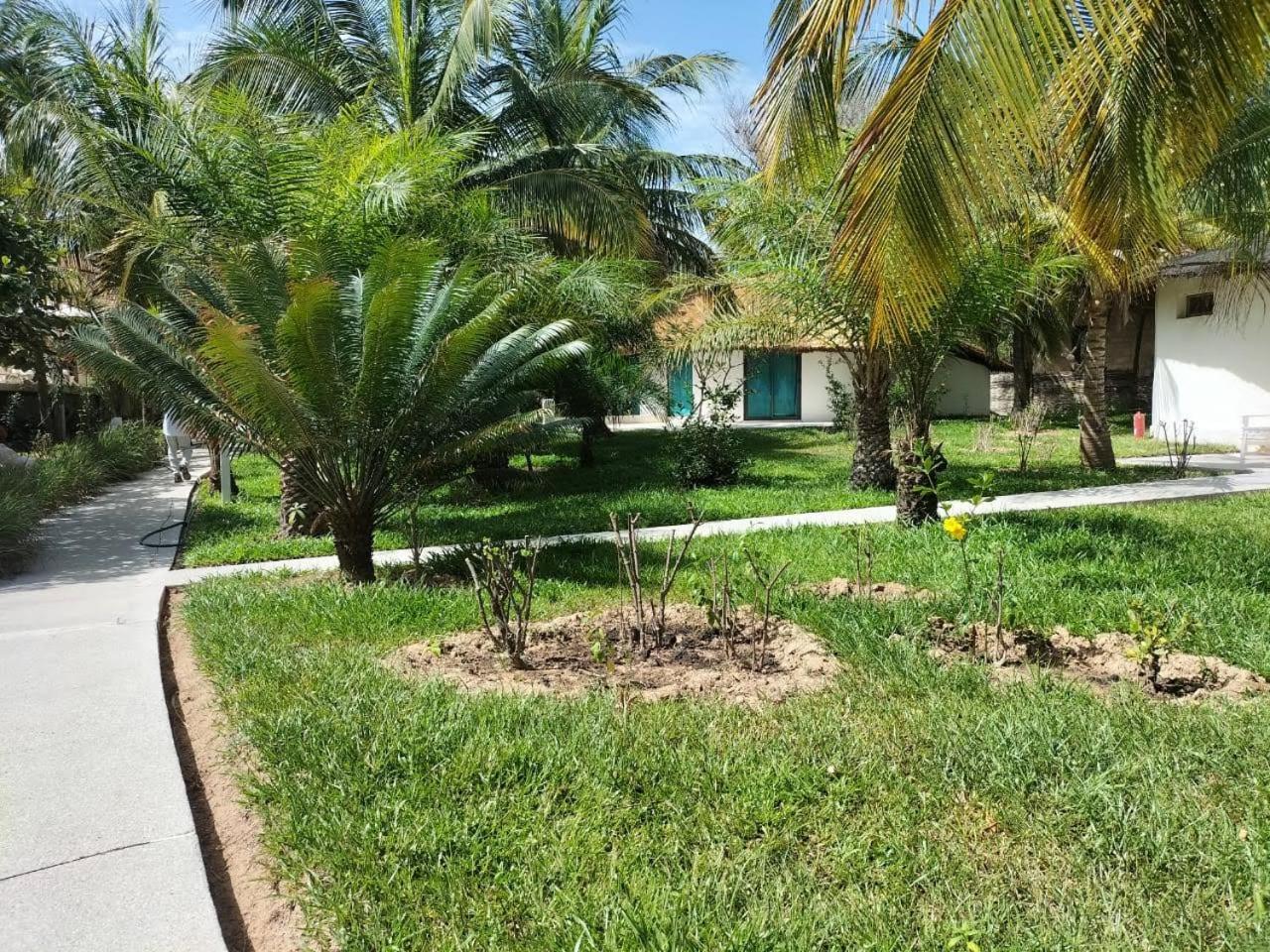 Les Hibiscus sur Mer Kabrousse Exterior foto