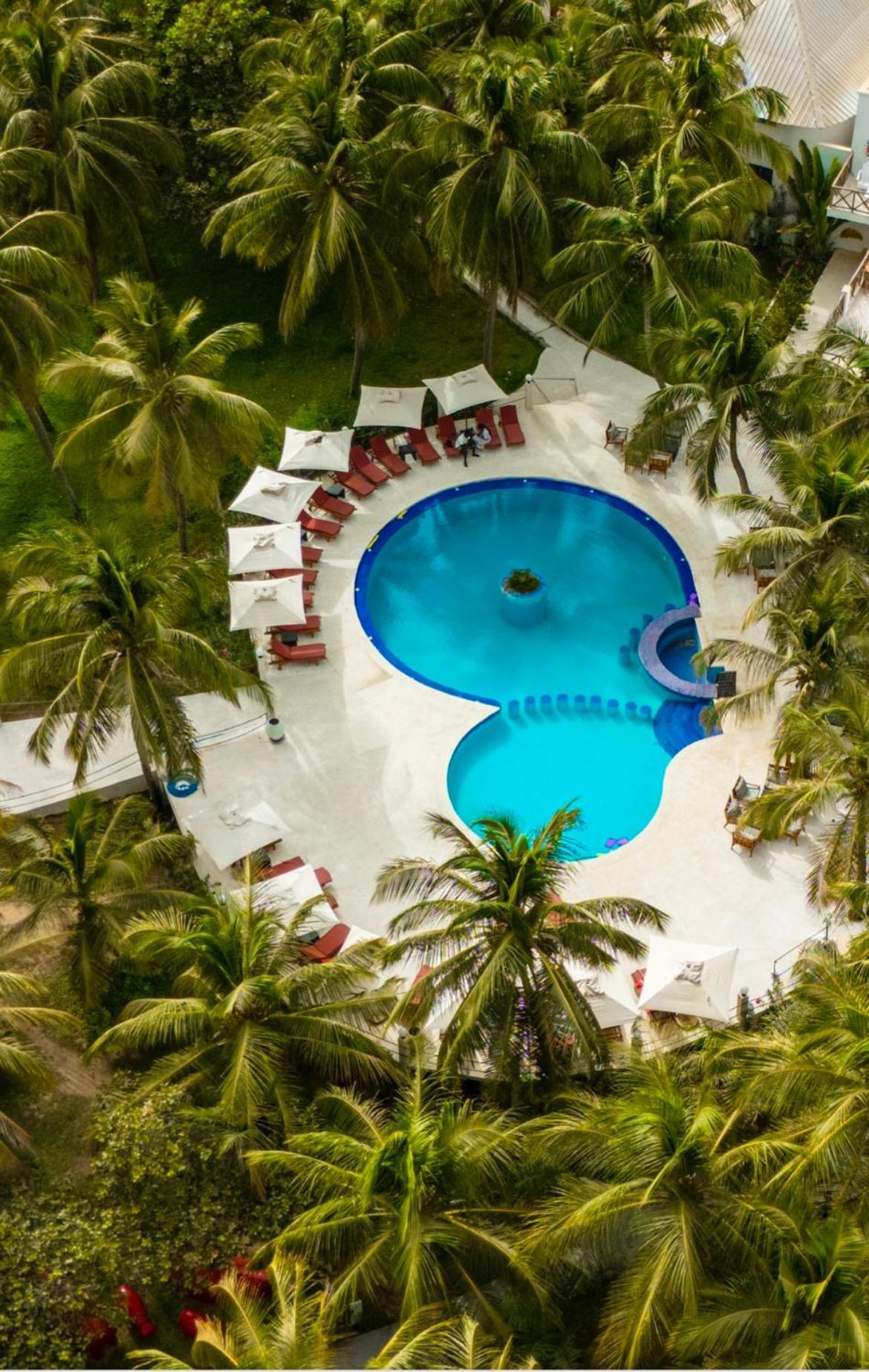 Les Hibiscus sur Mer Kabrousse Exterior foto